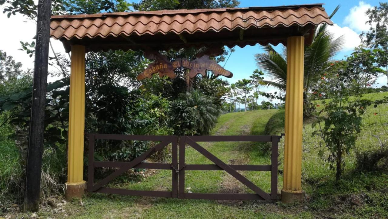 Cabana El Viejo Del Monte Venecia Dış mekan fotoğraf