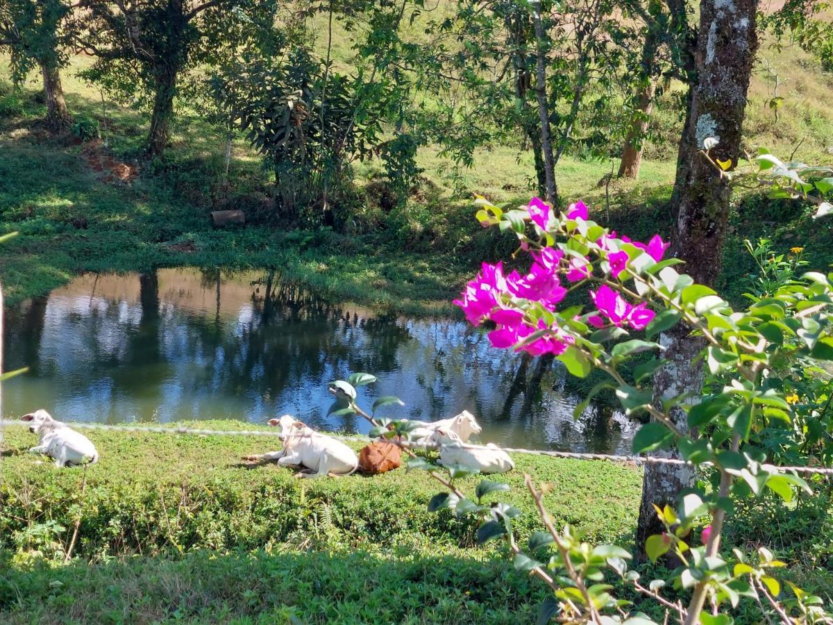 Cabana El Viejo Del Monte Villa Venecia Dış mekan fotoğraf